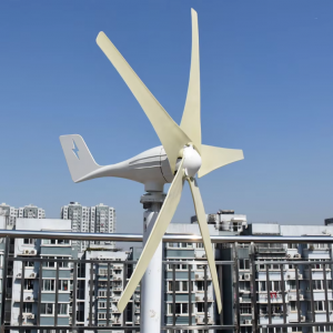 Wind Turbine 3000w Small Windmill Low Noise
