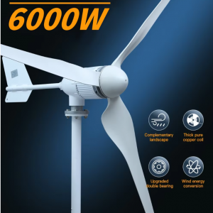 6KW Horizontal Wind Turbine Generator Windmill